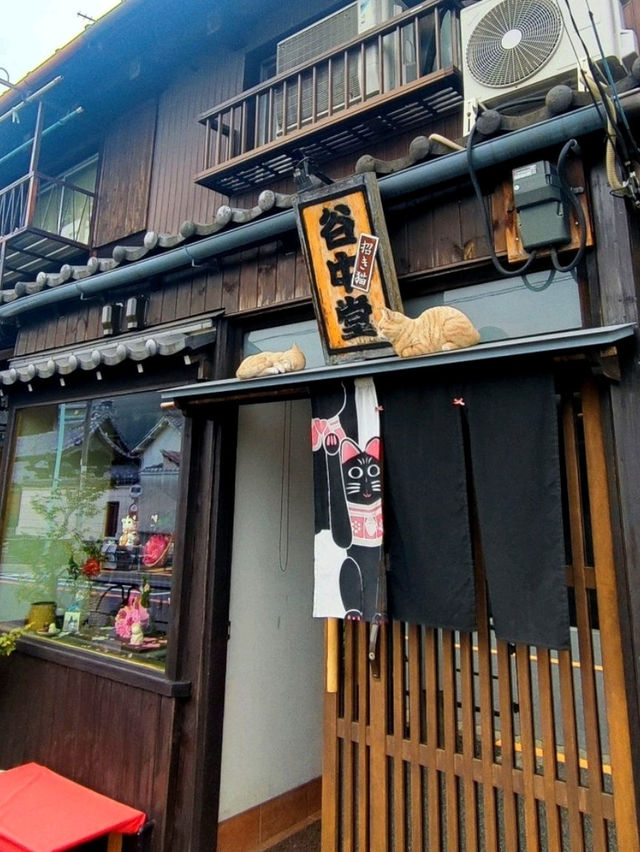 🐾 Exploring Yanaka Ginza: Tokyo’s Cat Lover’s Paradise! 🐱✨