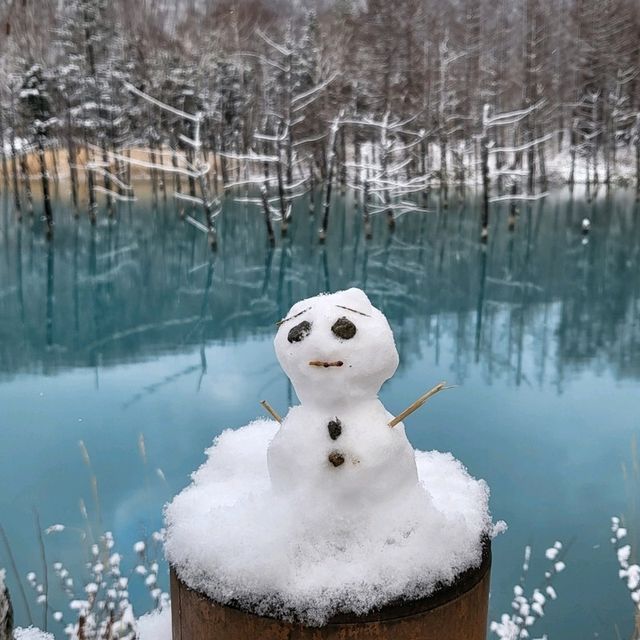 겨울여행에 빠질 수 없는 삿포로 비에이☃️