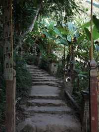 🌄 **【清邁素貼山徒步指南：雲霧與石階交織的朝聖路】** 📜  