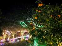 A night visit to Jeju Herb Land