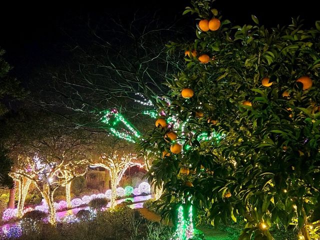 A night visit to Jeju Herb Land