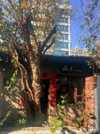 台中｜一甲子自來水老宿舍變身文創聚落 綠園道旁綠光計劃