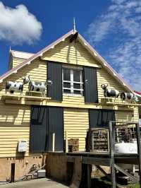 Bodalla Dairy Shed: A Taste of Tradition on the South Coast