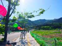 💛북한산 둘레길 데이트, 난이도 하 9구간~10구간🌳