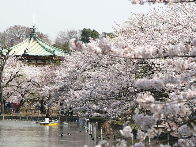 上野恩賜公園之旅