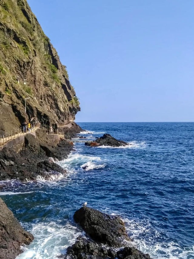 Ulleungdo in Spring: Korea’s Hidden Paradise