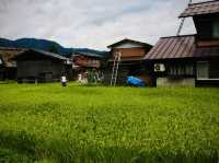 白川鄉合掌村：彷彿走進童話世界的日本秘境