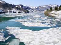 【新潟県】ここでしか見られない！山の流氷「破間川の雪流れ」