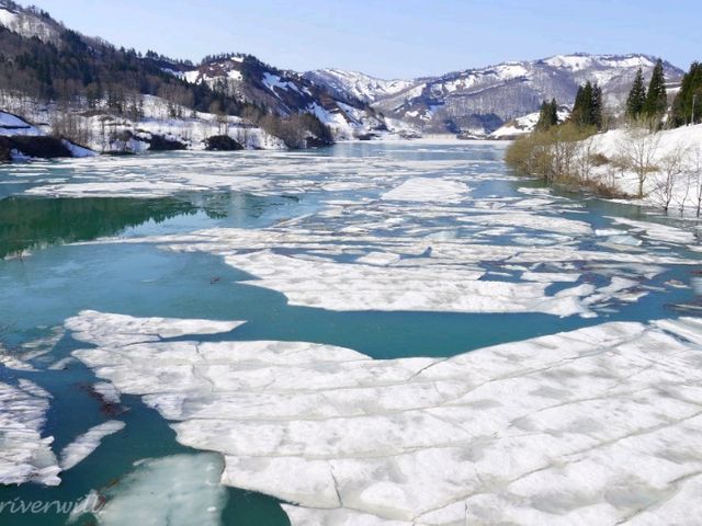 【新潟県】ここでしか見られない！山の流氷「破間川の雪流れ」