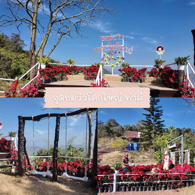 🇹🇭เมืองเลย-เชียงคาน 4วัน 3คืน ที่เที่ยวจัดเต็ม