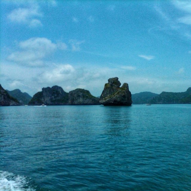 เกาะลิง ธรรมชาติทางทะเล