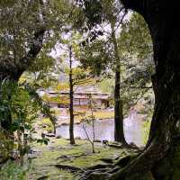 【兼六園】日本三名園のひとつ、四季折々の美しさが楽しめる
