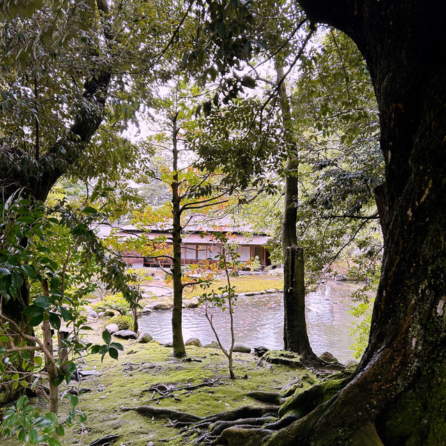 【兼六園】日本三名園のひとつ、四季折々の美しさが楽しめる