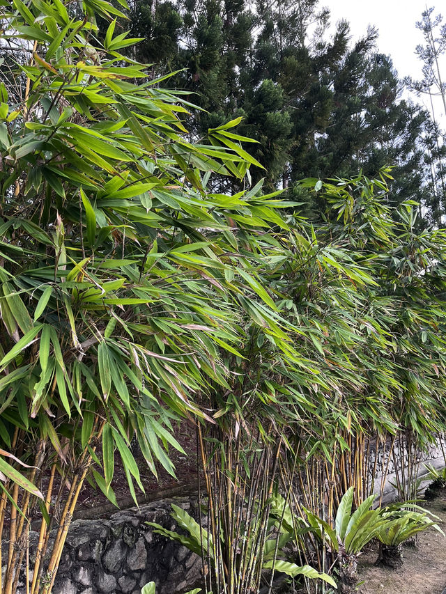 “Blooming Spring Escape at Taman Botani”