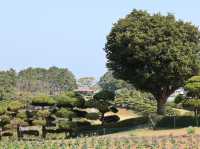 能古島海島公園：用不落幕的詩意花園