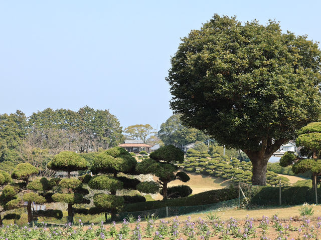 能古島海島公園：用不落幕的詩意花園