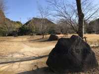 歴史も季節のうつろいも野鳥のくつろぎも感じられる とてもよい公園