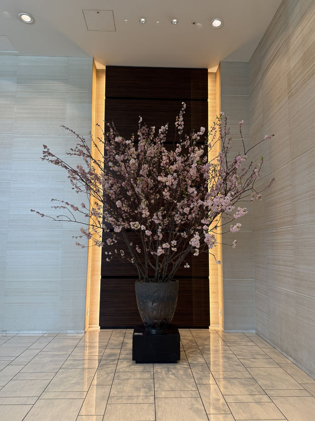Spring Vibes at Conrad Tokyo: A Sakura Wonderland🌸