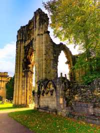 Museum Gardens 