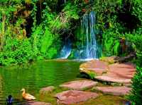 Sefton Park: A must visit Park in Liverpool!