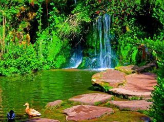 Sefton Park: A must visit Park in Liverpool!