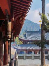 A scenic trek up to a hidden Temple