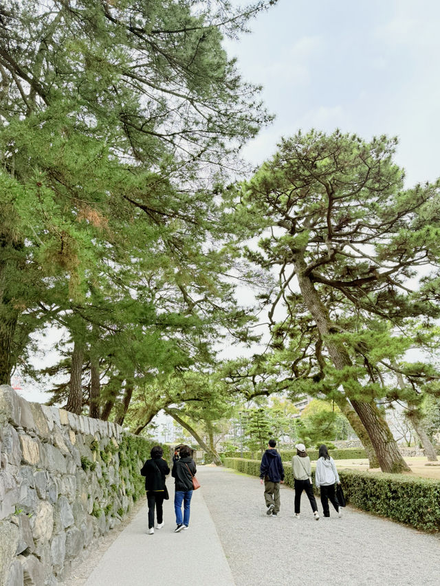 일본 소도시 여행지 추천!!