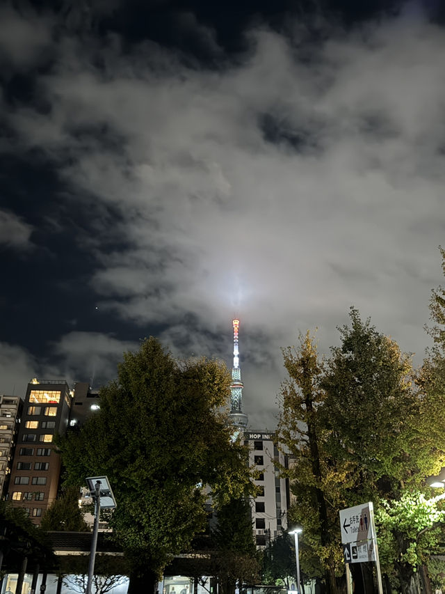 東京｜夜遊淺草｜一日遊行程 🌙✨