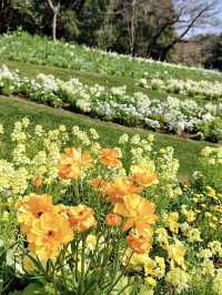 Spring Outing to Satoyama Garden – A Floral Paradise