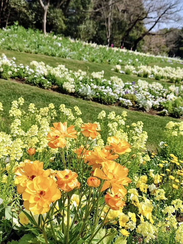Spring Outing to Satoyama Garden – A Floral Paradise