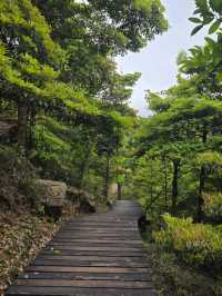 香港行山⛰️東涌站至昂坪市集