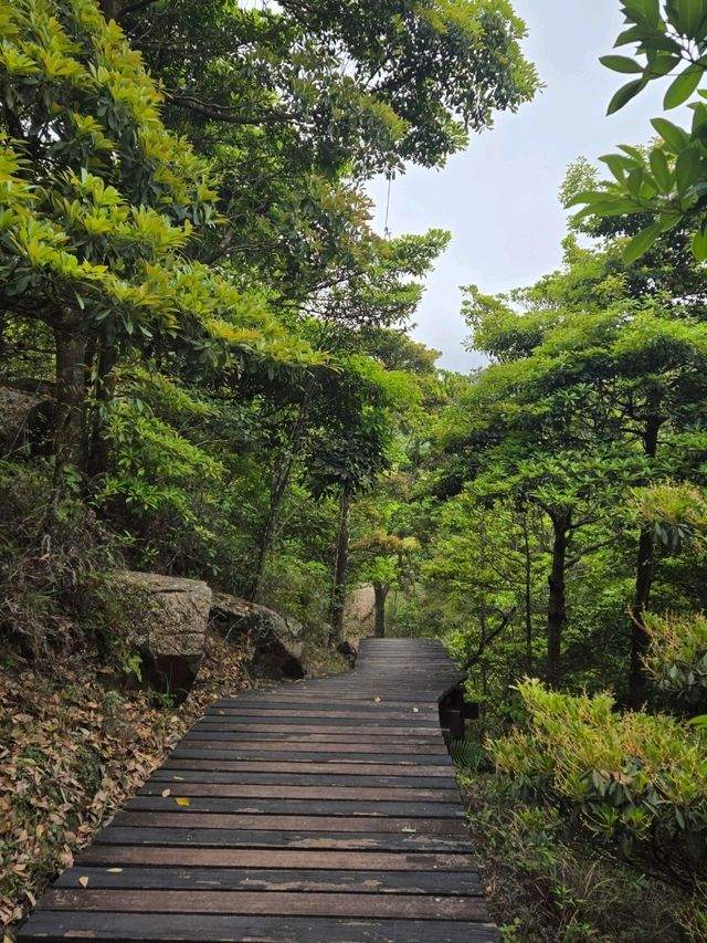 香港行山⛰️東涌站至昂坪市集