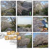 藻巖山·高地櫻花秘境