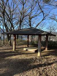 搭天上山公園纜車🚡鳥瞰河口湖嘆絕景富士山🗻