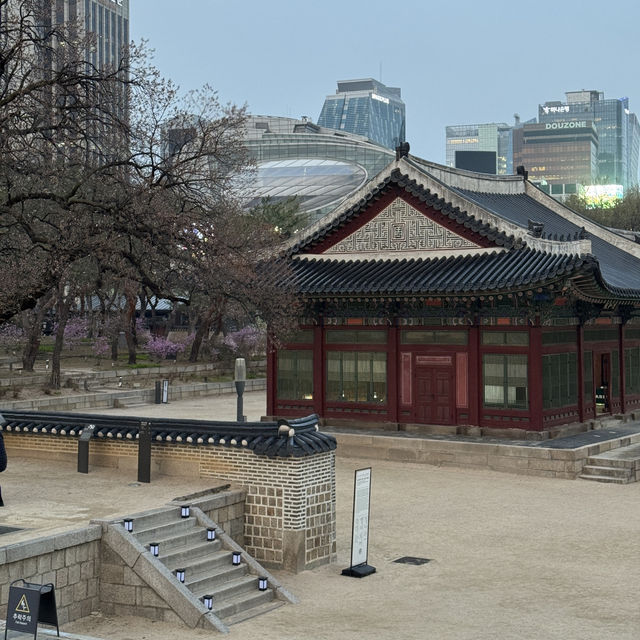 서울 벚꽃 명소 덕수궁 석조전