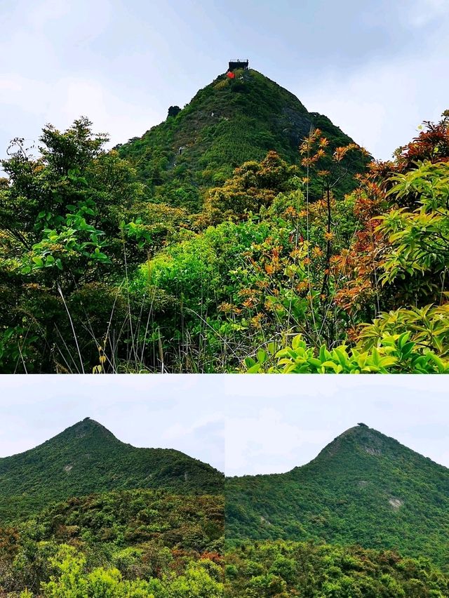 從梅沙尖到雲海公園