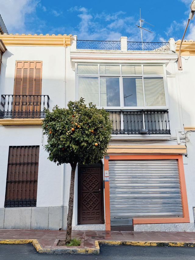 헤라클레스와 헤밍웨이, 그리고 론다🇪🇸