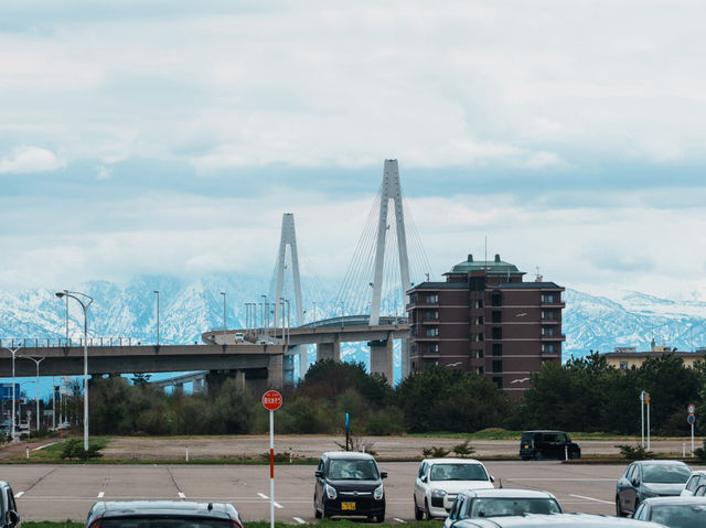 新湊海漁市場