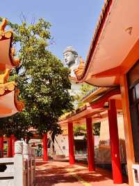 🙏✨ 探索千佛山菩提寺：靈性之旅的心靈聖地！