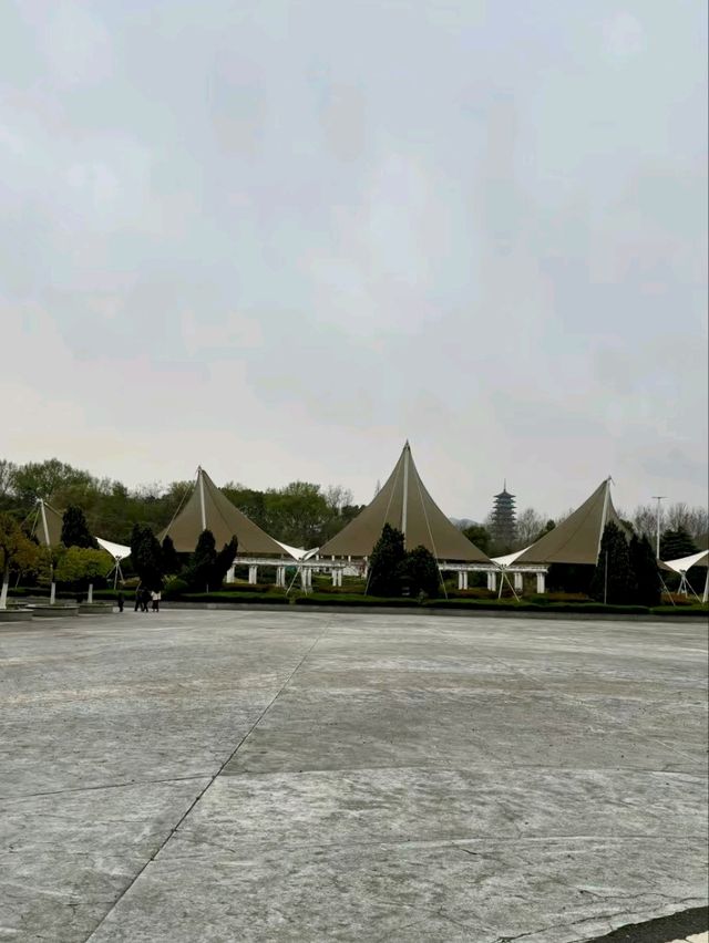 Longbei Mountain Forest Park: A Verdant Oasis in the City