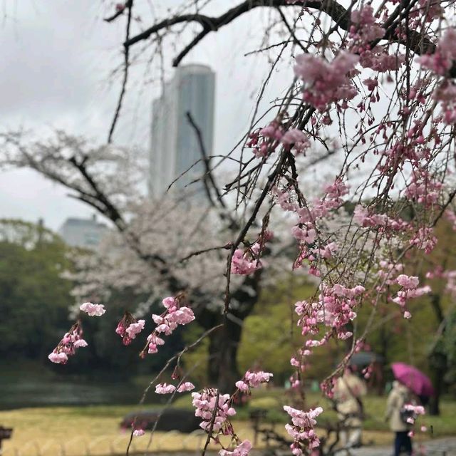 Koishikawa Korakuen Garden, Tokyo