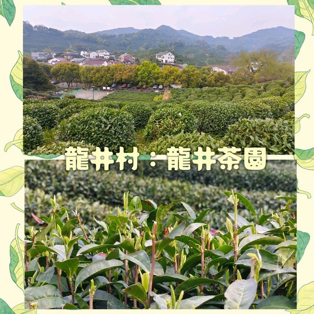 自由行：就在杭州不遠處。。。