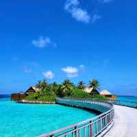 Waldorf Astoria Maldives Ithaafushi
