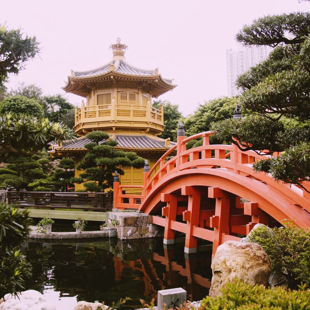 Tranquility Amidst the City: A Visit to Nan Lian Garden
