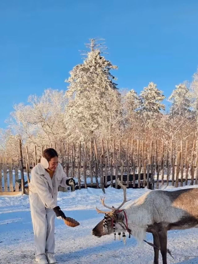 รีวิวฮาร์บิน  Changbai Mountain หรือ snow valley