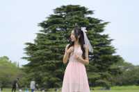 Experience with Nemophila and Double Cherry Blossoms at Showakinen Park, Tachikawa