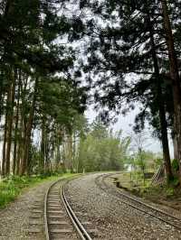 走讀阿里山林道鐵路的百年風華～奮起湖站到十字路站