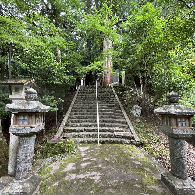 🌰【栗の木岳】 まつさかイレブン