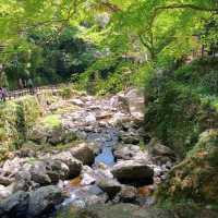箕面瀑布（Minoh Falls）