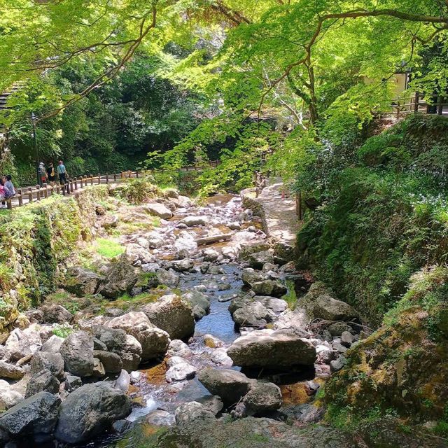箕面瀑布（Minoh Falls）